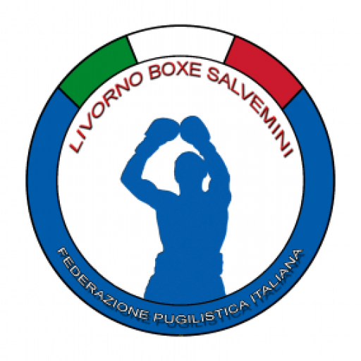 Salvemini_Box.png